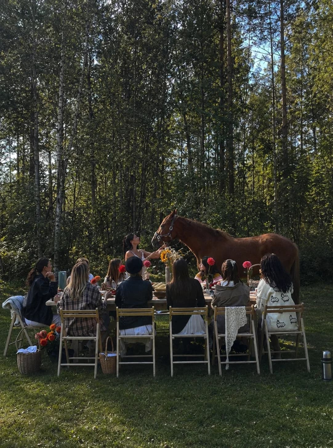 A long picnic table in a forest clearing with guests and a chestnut horse.